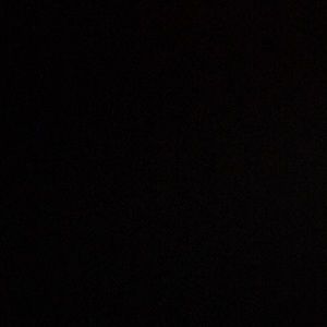 Meet your Posher, Kayden